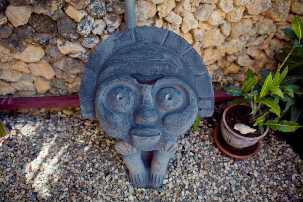 Kite Beach Inn Καμπαρέτε Εξωτερικό φωτογραφία